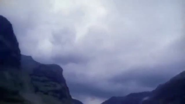 Mango   Bella D'estate