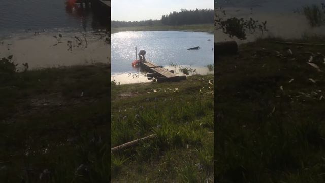 Сайа в чагде 5 смотреть онлайн