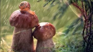 КРАСИВАЯ ДЕТСКАЯ ПЕСНЯ"Мир на планете"-ВИДЕОРОЛИК