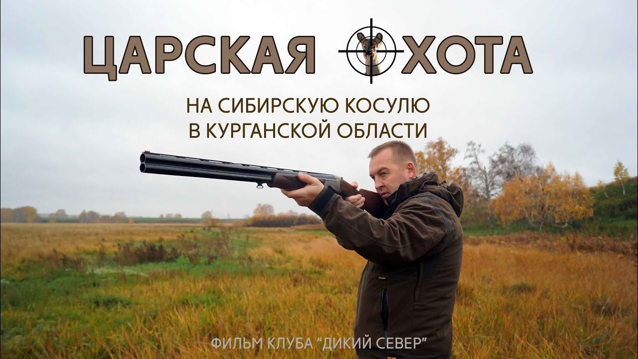 Охота на сибирскую косулю в Курганской области с клубом Дикий Север. смотреть онлайн