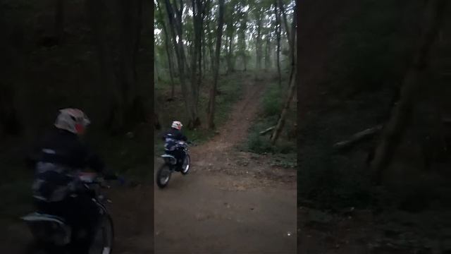 кайо т2 мх смотреть онлайн