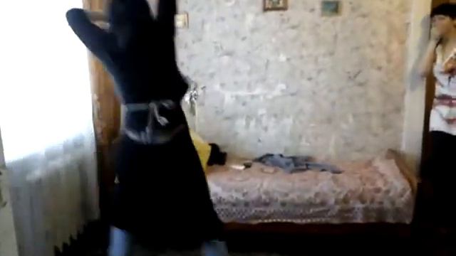 Аторва смотреть онлайн