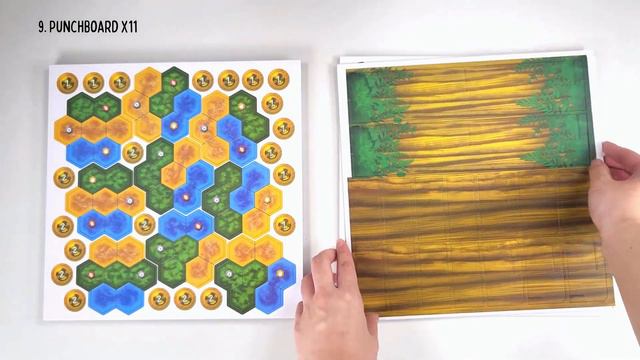 Life of the Amazonia Unboxing смотреть онлайн