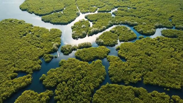 999 - "ЕДИНСТВО и антисистема" смотреть онлайн