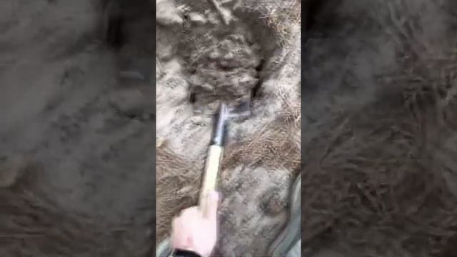 Металлоискатели Метаскан смотреть онлайн