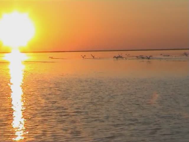 Дельта Волги. Вода обетованная. смотреть онлайн