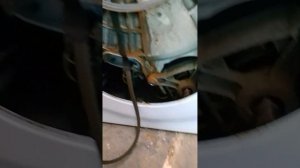 Диагностируем разбитые подшипники на стиральной машине.