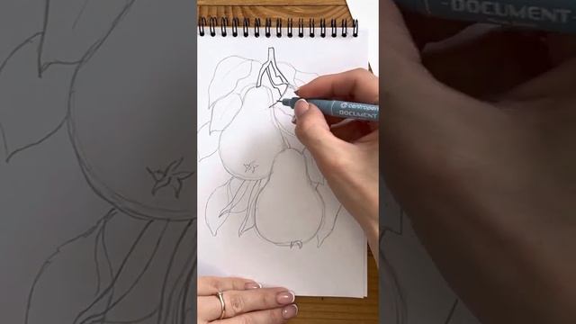 Новые скетчбуки "Империя Пикчер" смотреть онлайн