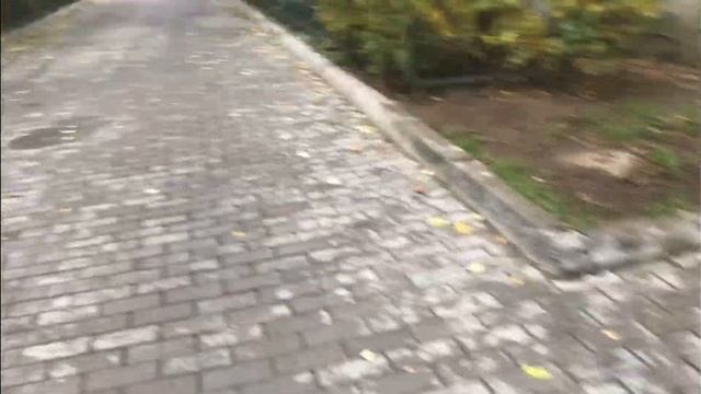 Сезон пряток 2(финал!!! Прятки ???)2 тур смотреть онлайн