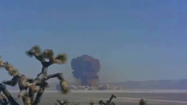 Funeral Flowers [The Fred Mlynarski Show] смотреть онлайн