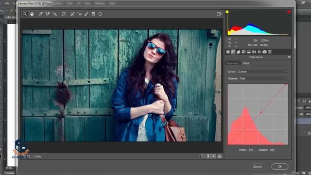 Photoshop Tutorial | Adobe CC 2017 | Camera RAW Filter | How to edit photo смотреть онлайн
