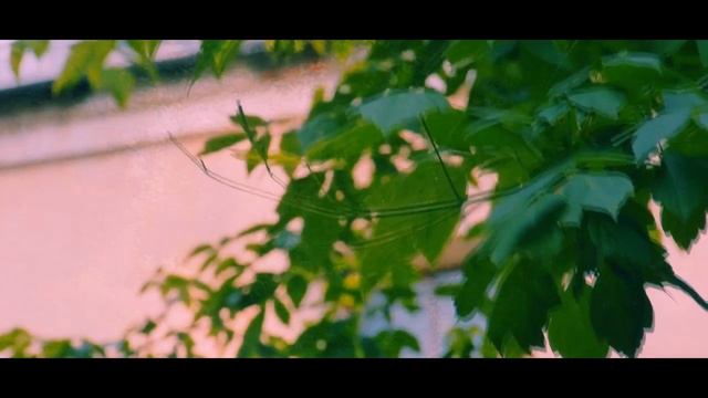 Владимир Соколов "Пластинка должна быть хрипящей..." Читает Павел Морозов смотреть онлайн