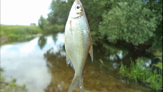 У самого синего моря смотреть онлайн