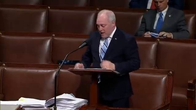 'I'd Like To Point Out A Few Pieces In This Bill': Scalise Shreds Build Back Better Bill смотреть онлайн