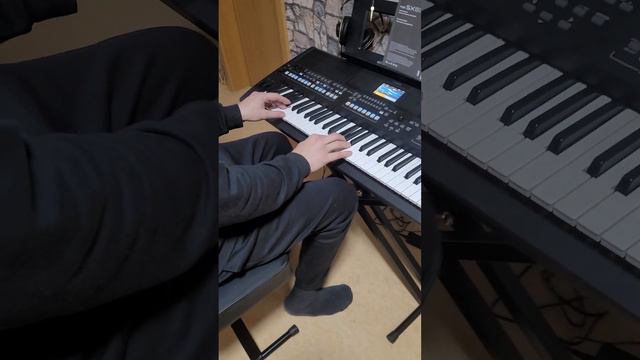 PSR-SX 600 Rainer смотреть онлайн