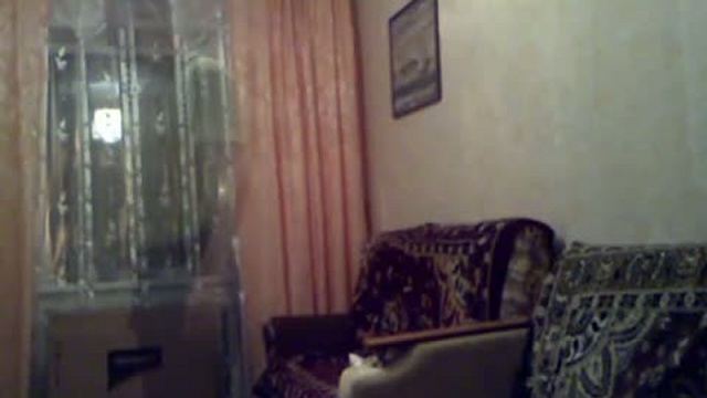 Паранормальное явление (Fake)