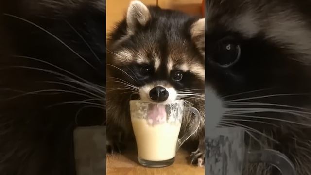 Cutest Animal Babies Ever! ? смотреть онлайн