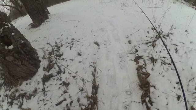 Видеоблог: Букино, Рыбалка с другом, в местах где ловили в детстве потерялись утром в лесу смотреть онлайн