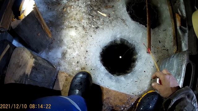 Проверка крючков на налима и отличный жор сороги 10 12 2021 смотреть онлайн