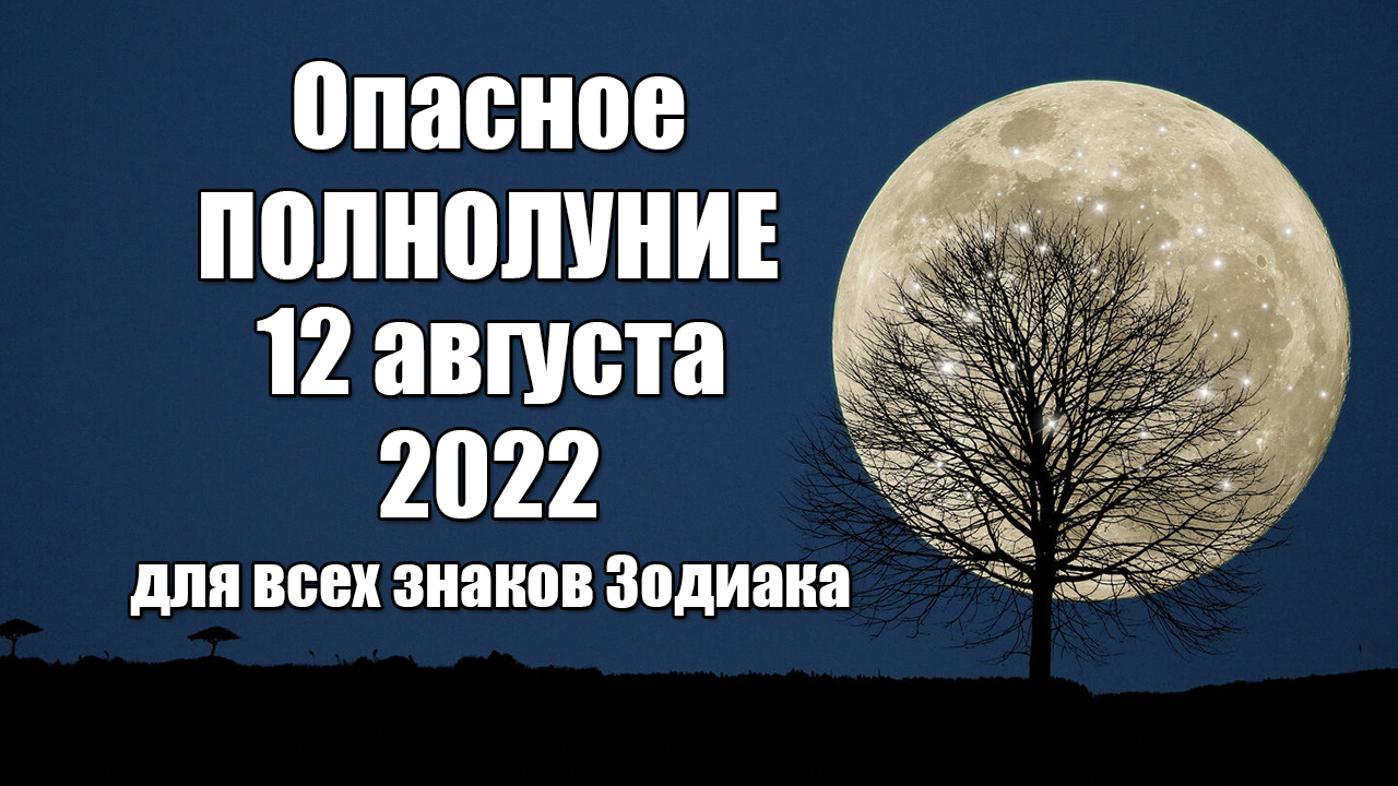 Опасное полнолуние 12 августа 2022 года смотреть онлайн