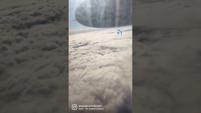 подписываемся родные и ставим палец куда? правильно вверх 👍 потому что других пальцев нет🚫