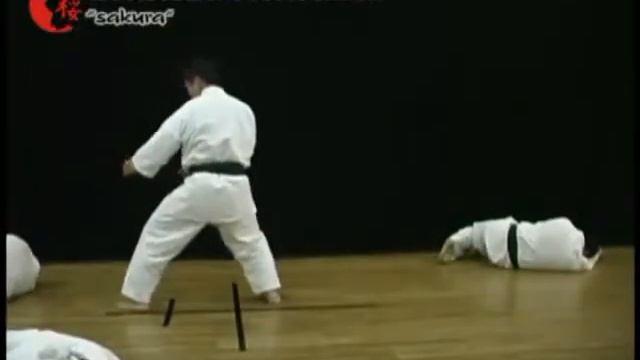 39 Кёкусинкай Карате Применение джуджи гата против 3 х Урок 39 смотреть онлайн