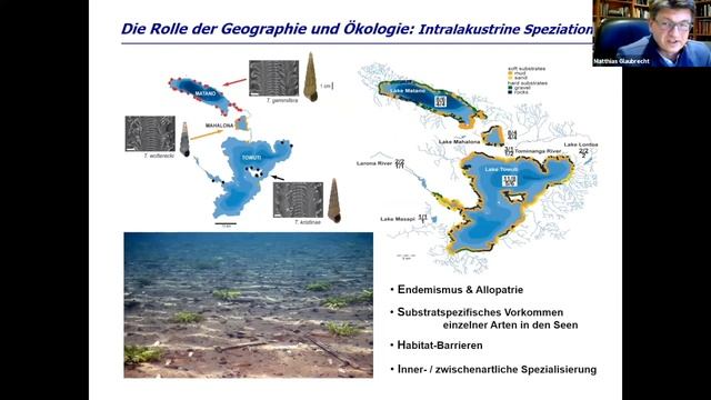 Matthias Glaubrecht: »Well worth examining …« Vom Anfang und Ende der Arten auf Archipelen смотреть онлайн