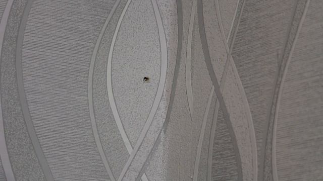 Строительная Галерея