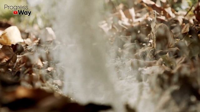 СРОЧНО ДАЙТЕ КЛУБНИКЕ СОЛЬ И БУДЕТЕ СОБИРАТЬ УРОЖАЙ ТОННАМИ!!! УХОД ЗА КЛУБНИКОЙ ОСЕНЬЮ! смотреть онлайн