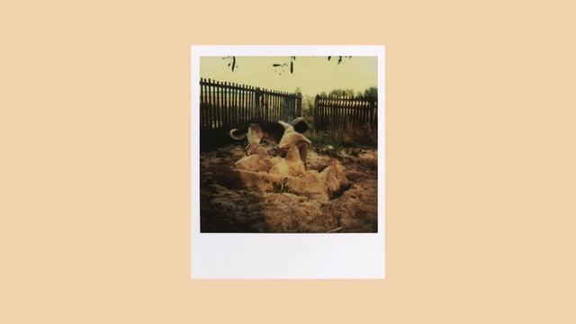 PICTURES ON PICTURES | Tarkovsky, Polaroid, and Spirituality In The Arts смотреть онлайн