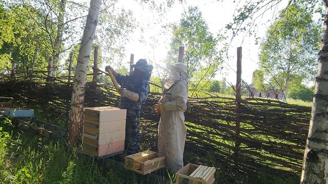 Забираем майский мёд смотреть онлайн