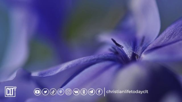 Божье Слово оживляет меня | Псалом 118 | Библия