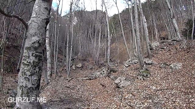 ? Поход в ущелье. По устью реки Авунда к истокам. Крым Гурзуф смотреть онлайн