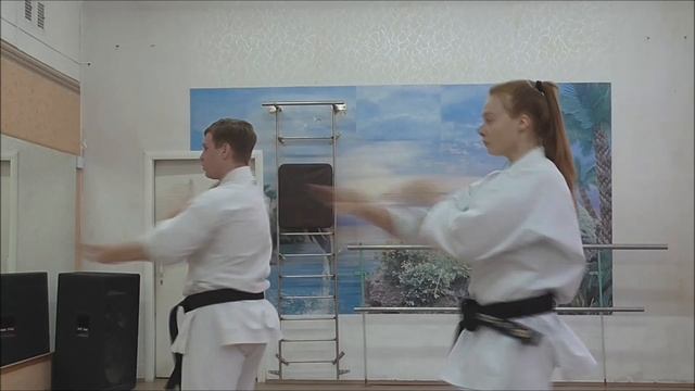 ★Видео учебник по Каратэ до Сито рю, для начинающих. Урок№4. Кихон (Kihon)★ смотреть онлайн