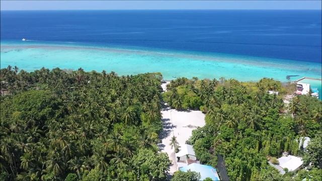 Нежная музыка, успокаивает нервную систему и радует душу, она освобождает разум и тело от стресса смотреть онлайн