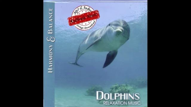 Dolphins Relaxation Music смотреть онлайн