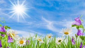 Ой, сердечко моё. ( стих в прозе)