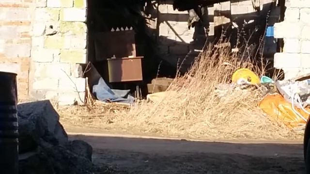 Хатсан Страйкер Эдж.Газовая пружина170атм. 20 метров. Люман 0.68. С упора. Размер цели 4на 4см. смотреть онлайн