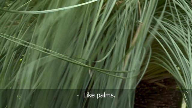 The Planet University. The Botanical Garden.