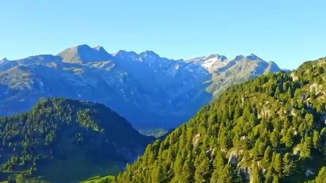 Обичаш ме Твърде Много! смотреть онлайн