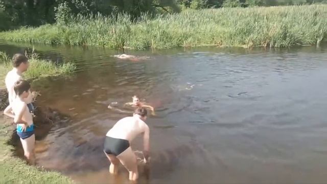 2020-07-19_Печи-Струпень-Пересады-Горелица-Стаи-Борисов смотреть онлайн