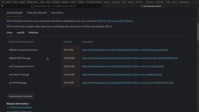 day-2/100 installing jdk and IDE(IntelliJ) смотреть онлайн