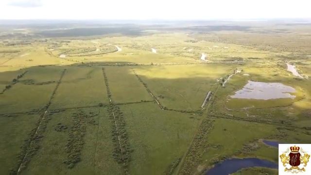 Тюмень 100 соток за 99тр Тюменский гектар Московский тракт смотреть онлайн