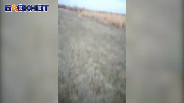 Мусор смотреть онлайн