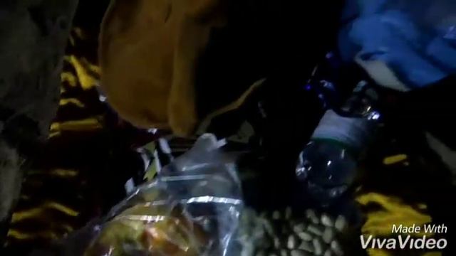 Ночное море смотреть онлайн