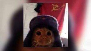 Molchat Doma - Молчат Дома (speed up)