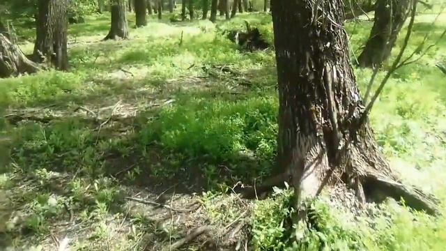 Охота с пневматикой мр512, можно ли добыть утку на стоке?!