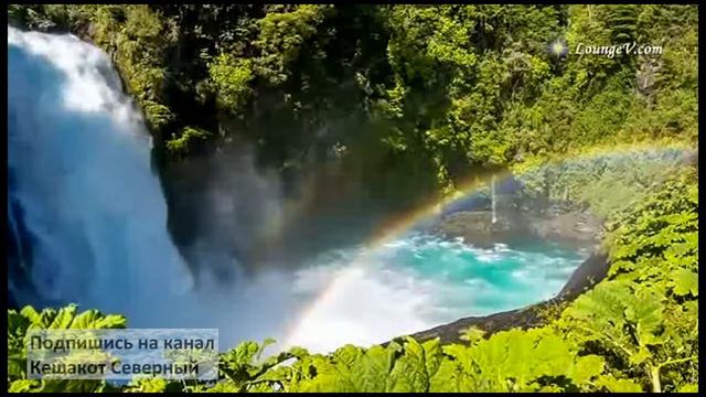 Чудо Клайв Льюис 1 глава Об этой книге смотреть онлайн