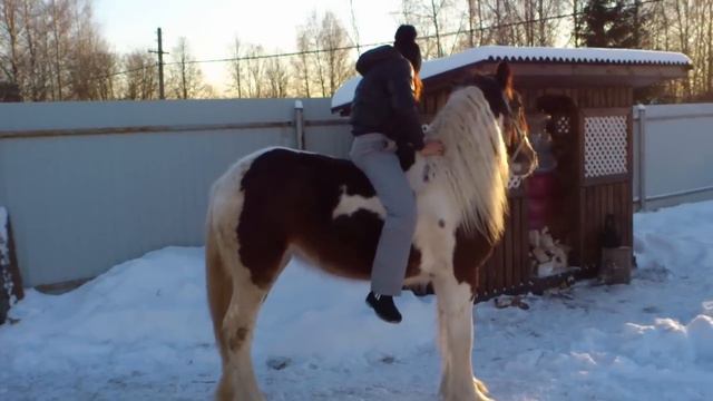 жеребёнок смотреть онлайн