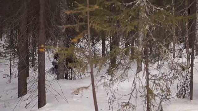 Снегоход BRP Skandic SWT 600ACE смотреть онлайн